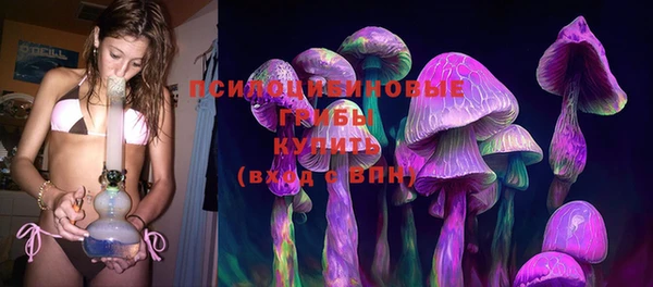 хмурый Алексеевка
