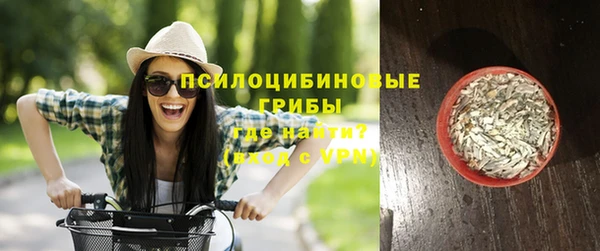 хмурый Алексеевка